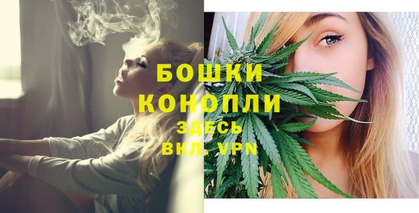 PSILOCYBIN Володарск